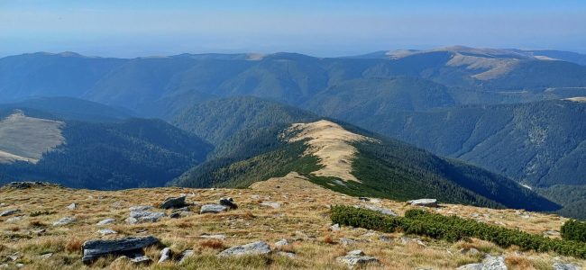 wta_2463_20230929_100439