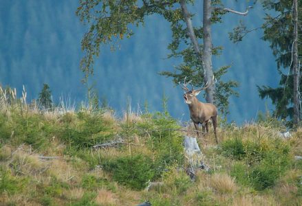 wta_2463_DSC_5157 mail