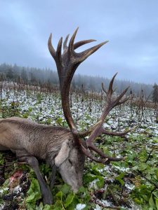 wta_2463_IMG-20220922-WA0012