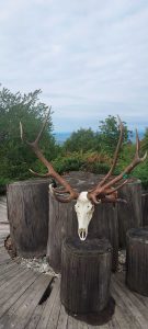 wta_2463_IMG-20220926-WA0008