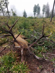 wta_2463_IMG-20230925-WA0017