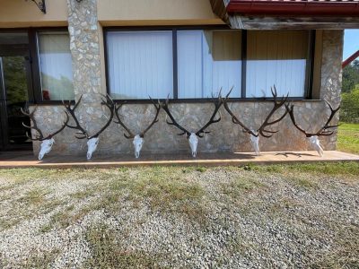 wta_2463_IMG-20231030-WA0033