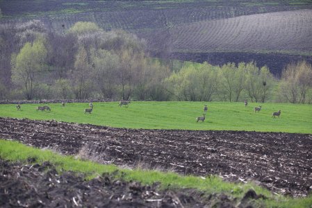 wta_2465_IMG_7544