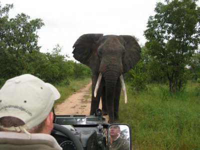 wta_2469_Timbavati-17