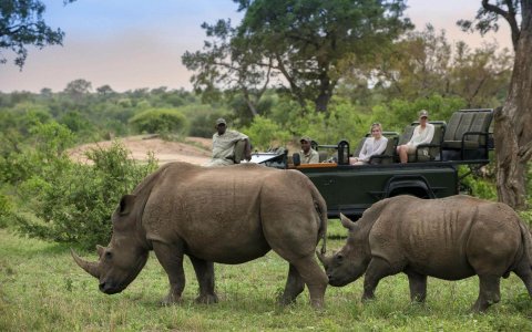 wta_2469_Timbavati-23