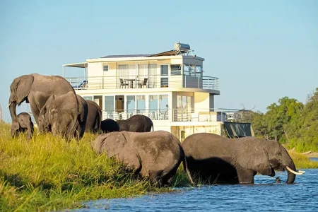 wta_2471_Chobe-Princess 1