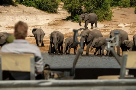 wta_2471_Chobe-Princess 6