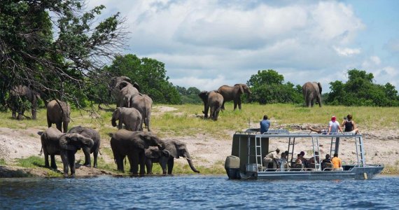 wta_2471_Chobe-Princess 8