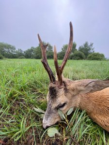 wta_2475_IMG_0661