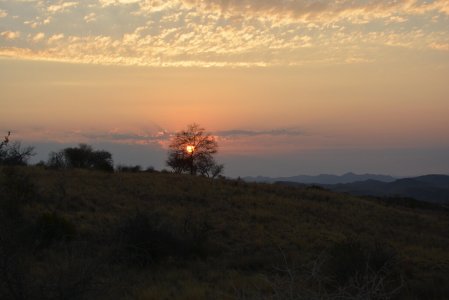 wta_2481_129