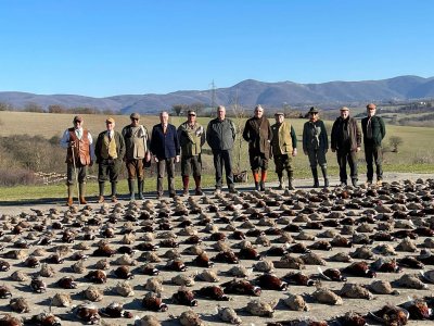 wta_2482_WhatsApp Image 2024-05-16 at 10.01.17 (17)