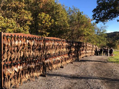 wta_2482_WhatsApp Image 2024-05-16 at 10.01.17 (31)