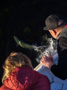 wta_2484_20220617-P1192769