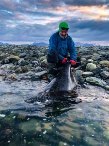 wta_2484_27B58DAB-9BEB-48BC-9243-957BE020B4FE