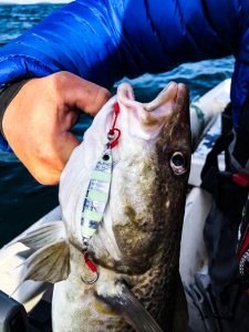 wta_2484_2F5B3FD9-FD9D-4A34-88E6-004C31D49B7C