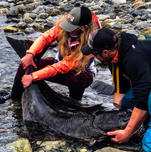 wta_2484_5A2940BA-00A2-4136-B8C9-29DD79E415E1