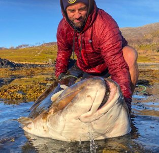 wta_2484_AC8717B8-4F93-4FC1-B9D1-0976960B4317