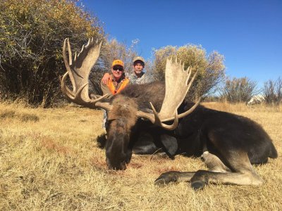 wta_2495_CO Moose - CWO - #2