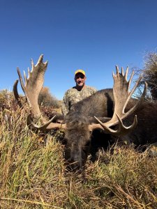 wta_2495_CO Moose - CWO