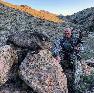 Southern Arizona Javelina