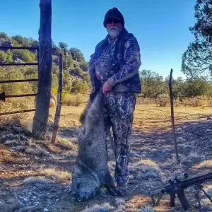 Southern Arizona Javelina