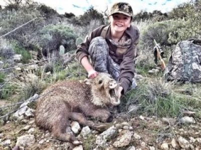Southern Arizona Javelina