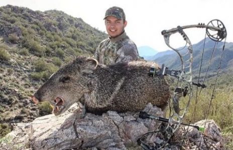 Southern Arizona Javelina