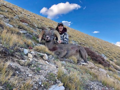 wta_2501_Megan S - CO sheep - S-12 - 2019