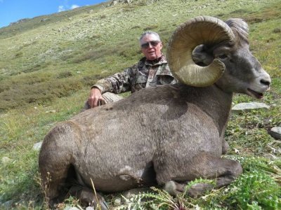 wta_2501_co sheep 6-19-24