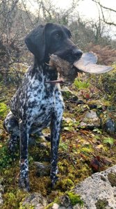 wta_2505_WhatsApp Image 2023-10-07 at 15.57.50 (3)