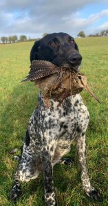 wta_2505_WhatsApp Image 2023-10-07 at 15.57.51 (1)