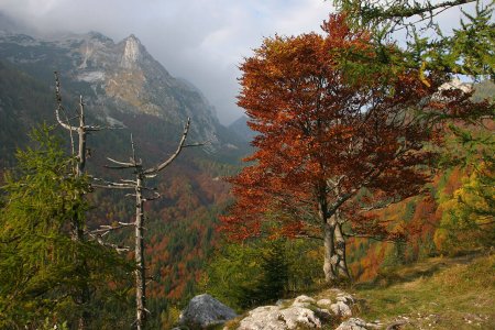 wta_2508_FOTOGRAFIJA-27