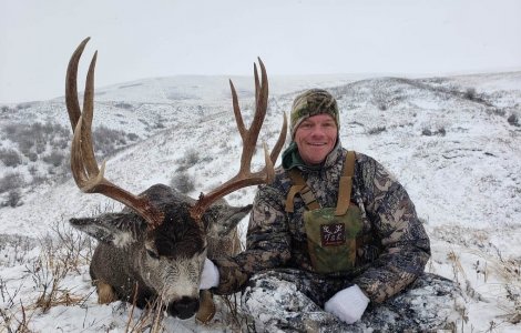 wta_2514_ttl-mule-deer-11