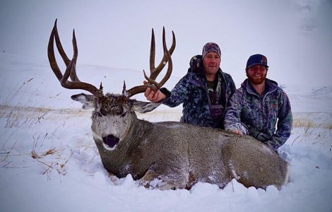 wta_2514_ttl-mule-deer-12