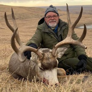 wta_2514_ttl-mule-deer-17