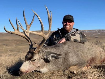 wta_2514_ttl-mule-deer-28