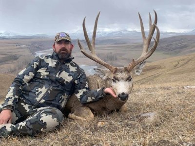 wta_2514_ttl-mule-deer-3