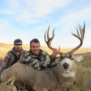 wta_2514_ttl-mule-deer-9