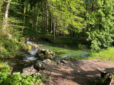 wta_2521_2021-05-27 07.45.06