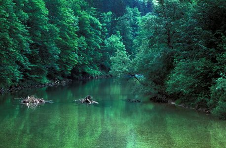 wta_2521_Sava Bohinjka05-03 (8)