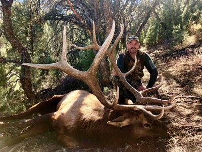 wta_2522_Brad Farris 221-223 rifle elk 2017