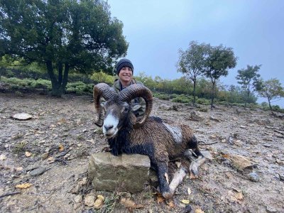 wta_2534_Central European Mouflon Macedonia (1)