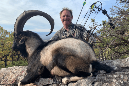wta_2534_Kri-Kri Ibex Hunting