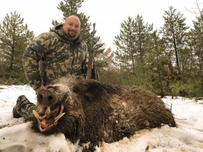 wta_2534_Wild boar (3)