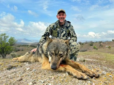 wta_2534_Wolf Macedonia 23 (SCI) 1