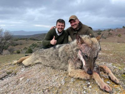wta_2534_Wolf Macedonia 23 (SCI) 2