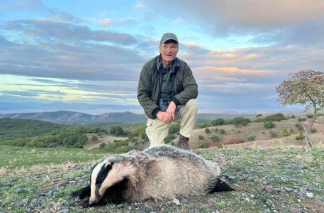 wta_2534_badger Macedonia