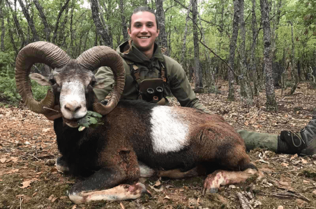 wta_2534_mouflon macedonia (1)