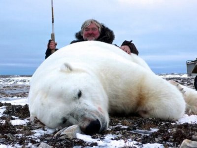 wta_275_W7HYQA_PBear_062(1)
