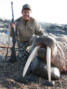 wta_275_ZGSHPR_062_Walrus-2